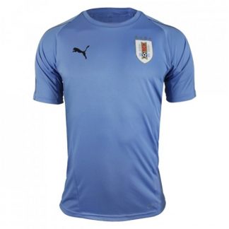 cheap jerseys dh Puma Uruguay 18 Training Jersey - Sky Blue best cheap jerseys